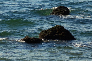 Waves