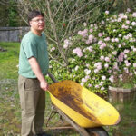 Wheelbarrow