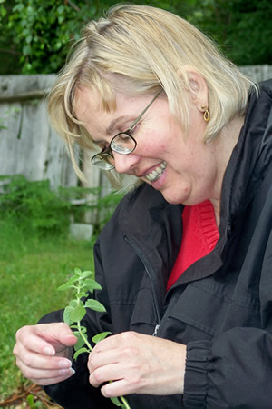 Picking Oregano