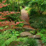 Bellevue Botanical Gardens