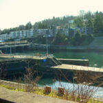 Ballard Locks