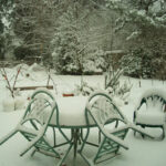 Snow in Bellevue