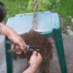 Root Trim