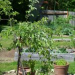 052509_window