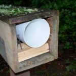 Newspaper box