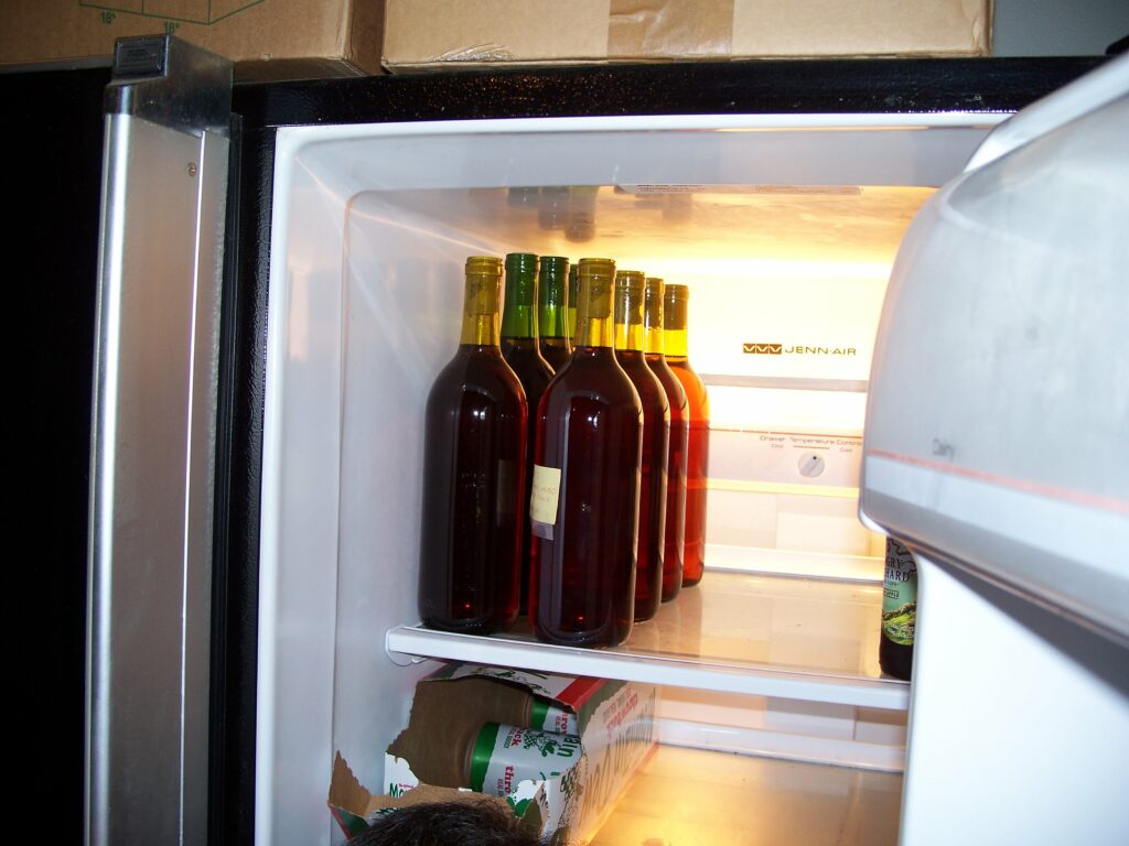 garage refrigerator 