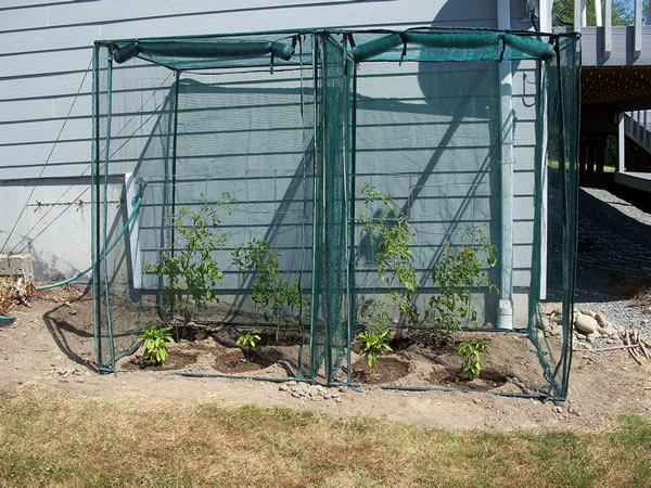 Crop Cage