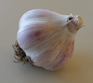 Garlic from our 2015 harvest