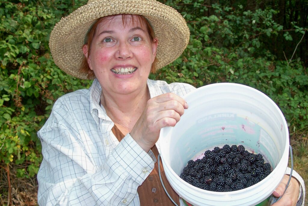 blackberries